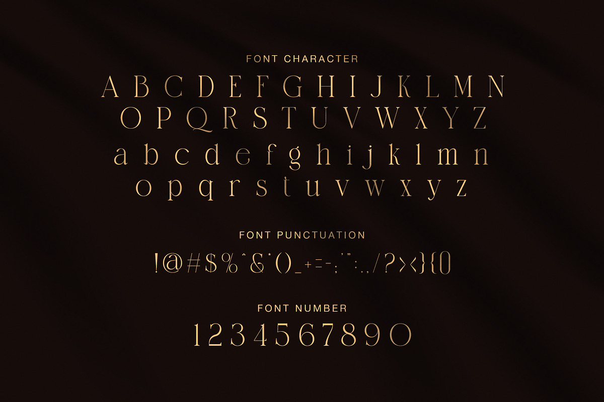 Bulgina Elegant Serif Display Font, a Serif Font by Graphicxell (Photo 7 of 8)