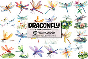 Watercolor Dragonfly Clipart, an Illustration by Pixels.Craft (Thumbnail 1 of 5)