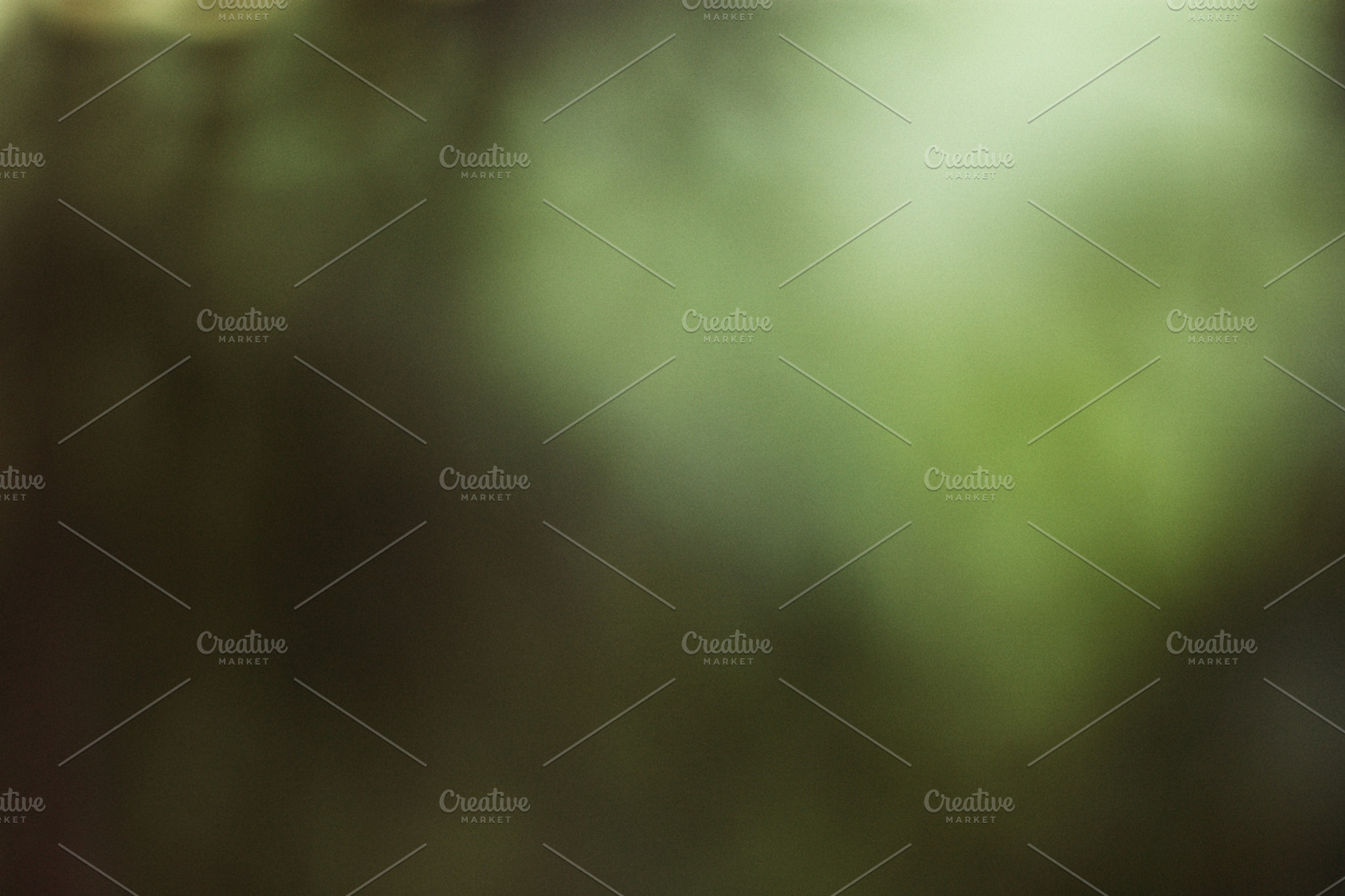 Nature Out Of Focus