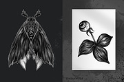 Dark details - gothic PNG set, a Texture Illustration by timianwolf (Thumbnail 6 of 10)