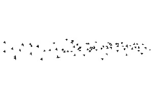 Flying birds silhouette flock. hand, an Animal Illustration by Nenahliadava Design