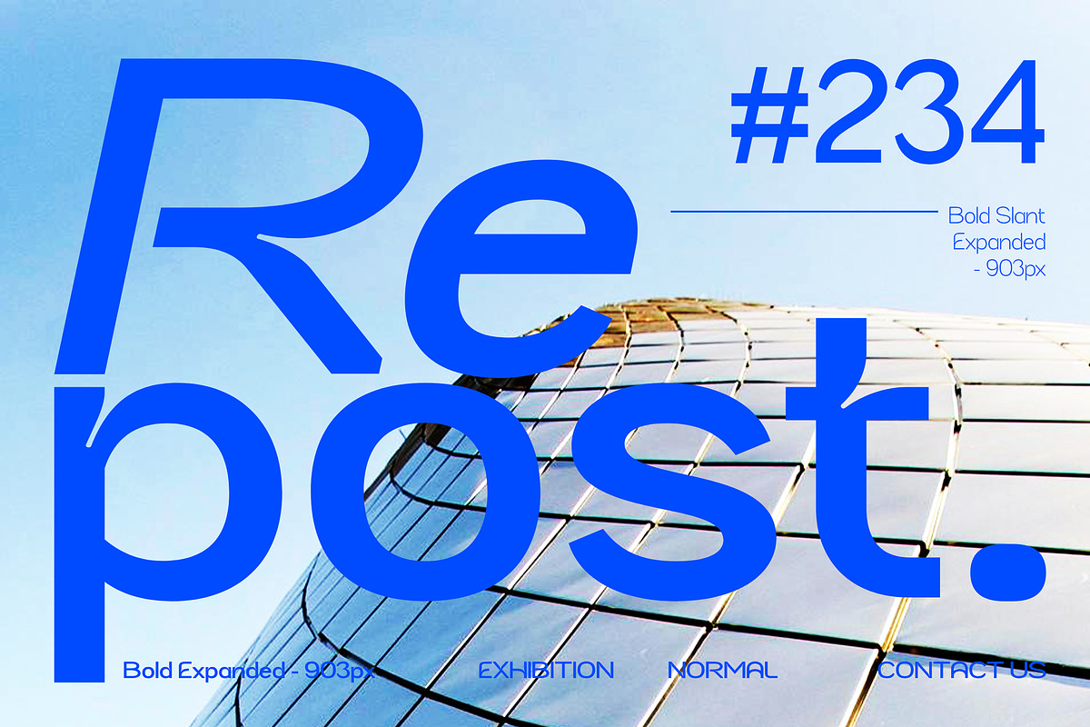 Neutrix, a Sans Serif Font by Black Studio (Photo 4 of 16)
