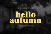 Shequan, a Serif Font by Propertype (Thumbnail 11 of 15)