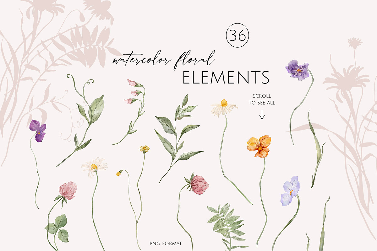 FIELD watercolor wildflowers, a Decorative Illustration by Yuliia Lashevska (Photo 12 of 13)