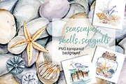 Shells, beach watercolor set., an Illustration by Larisa Maslova (Thumbnail 1 of 13)