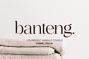 Ethereal - Elegant Serif Family, a Serif Font by Kereatype (Thumbnail 4 of 10)