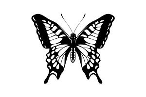 Butterfly Silhouette Vector