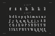 Aikonig | Modern Serif Font, a Serif Font by Denustudios (Thumbnail 15 of 15)