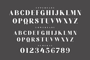 ROMANS Modern Serif Font, a Slab Serif Font by Alfinart (Thumbnail 6 of 8)