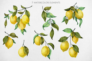 Lemons. Watercolor Collection