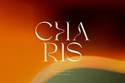 SNS Charis Font Family, a Serif Font by Sans & Sons (Thumbnail 7 of 10)