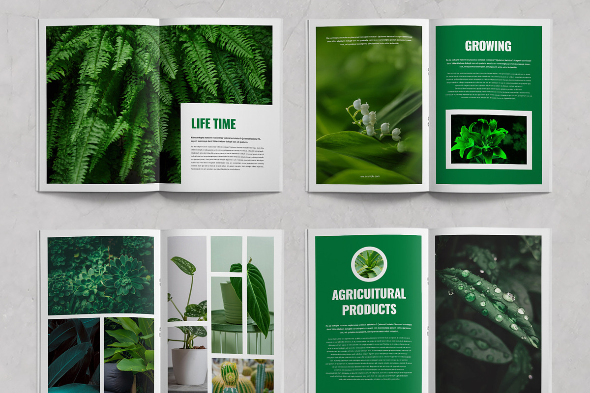 Botanical Brochure Template, a Brochure Template by ContestDesign (Photo 3 of 3)