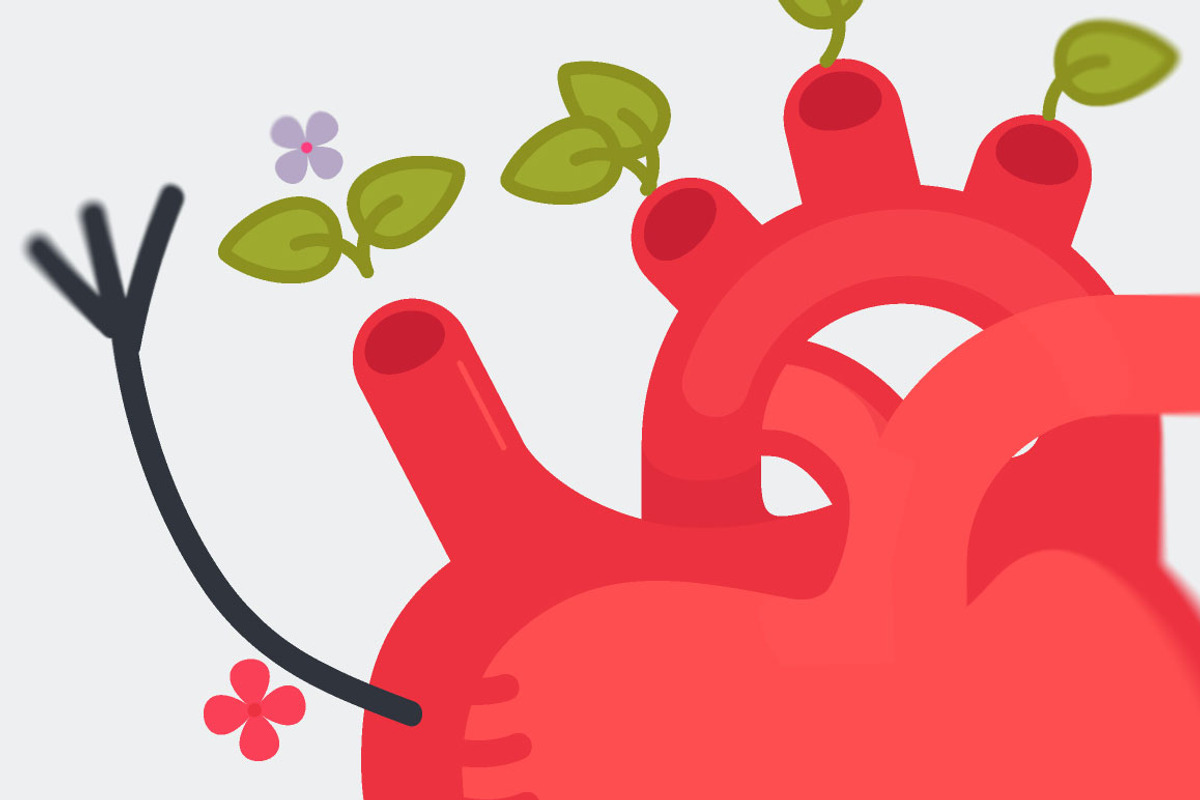 25 Heart character, a Healthcare Illustration by Beatriz Gascón (Photo 3 of 3)