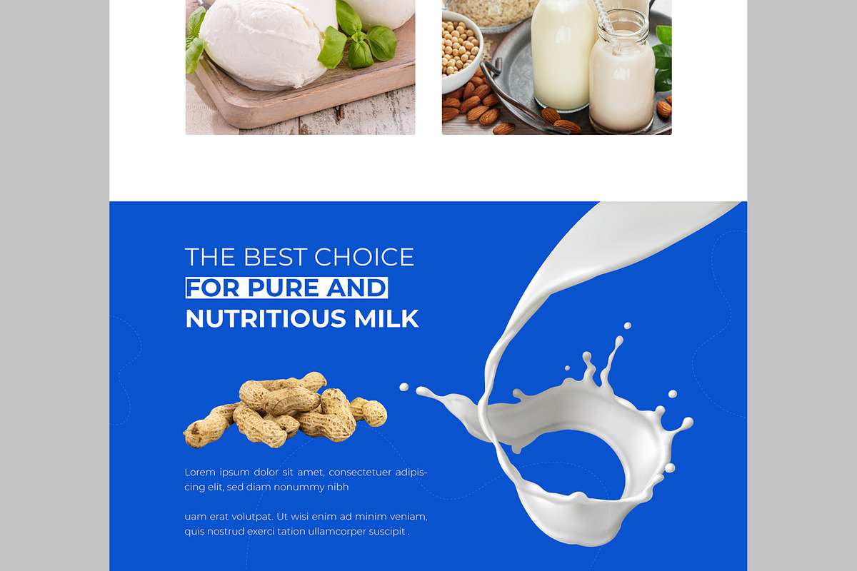 Milk Product Landing Page, an UI Kit Template by CreativeShaper (Photo 5 of 6)
