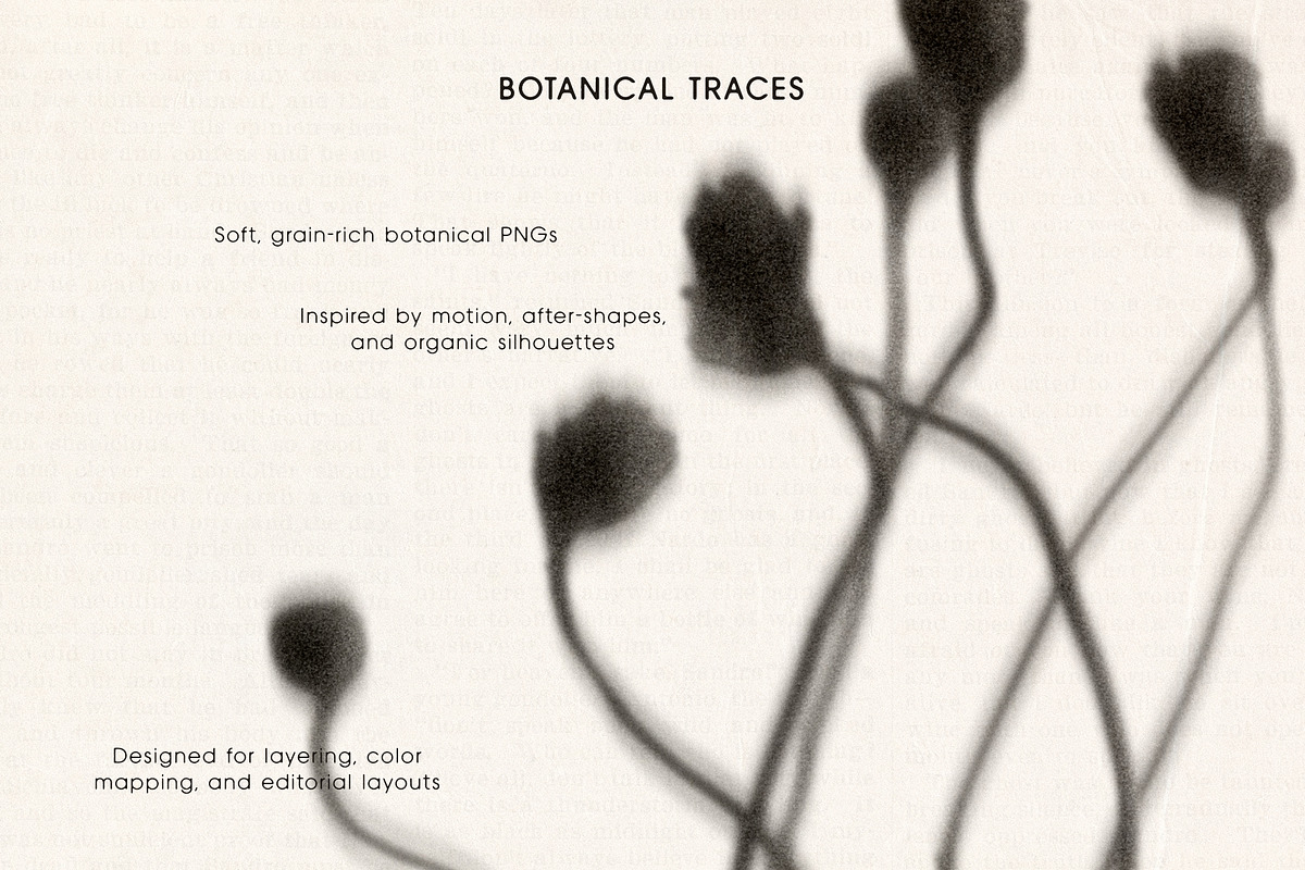 Botanical Traces: Blurred Floral PNG, an Object Graphic by Dina Mae (Photo 2 of 14)