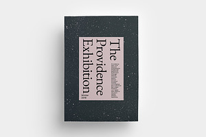 The Providence Flyer