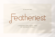 Featheriest - Business Font, a Sans Serif Font by RockboyStd (Thumbnail 1 of 12)