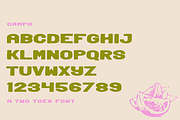 Campo, a Sans Serif Font by Two Toes Creative (Thumbnail 2 of 6)