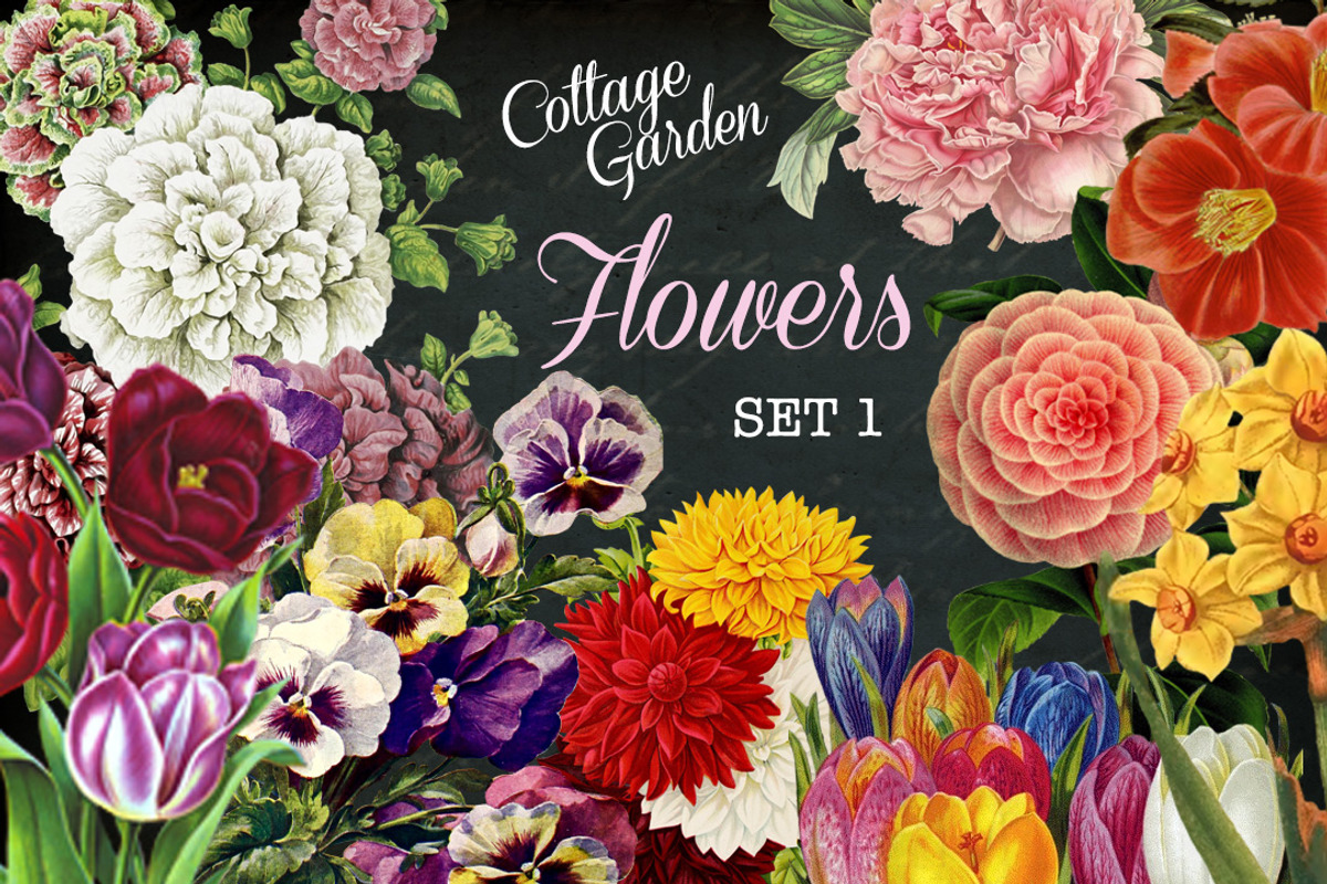 Cottage Garden Flowers Set 1, a Graphic by Digital Vintage (Photo 1 of 2)
