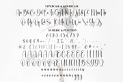 Ballerina | Script Font, a Handwritten Font by Scratchones (Thumbnail 7 of 9)
