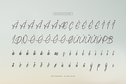 Daily Miracle | Script Handwritten, a Script Font by Denustudios (Thumbnail 12 of 12)