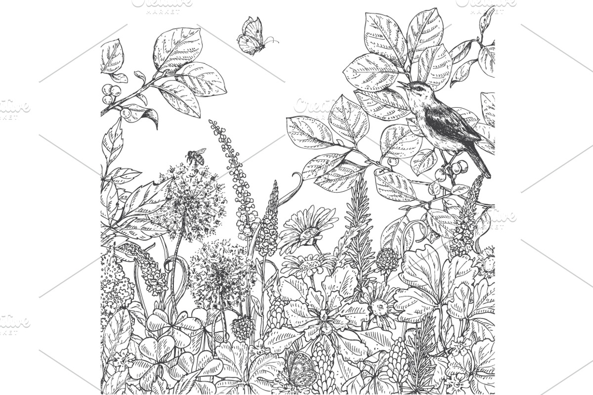 Birds on Branches Sketch, a Decorative Illustration by Valentyna Smordova (Photo 6 of 9)