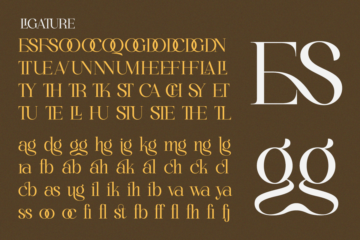 Bigalfia - An Elegant Modern Serif, a Serif Font by Qweera Studio (Photo 10 of 11)