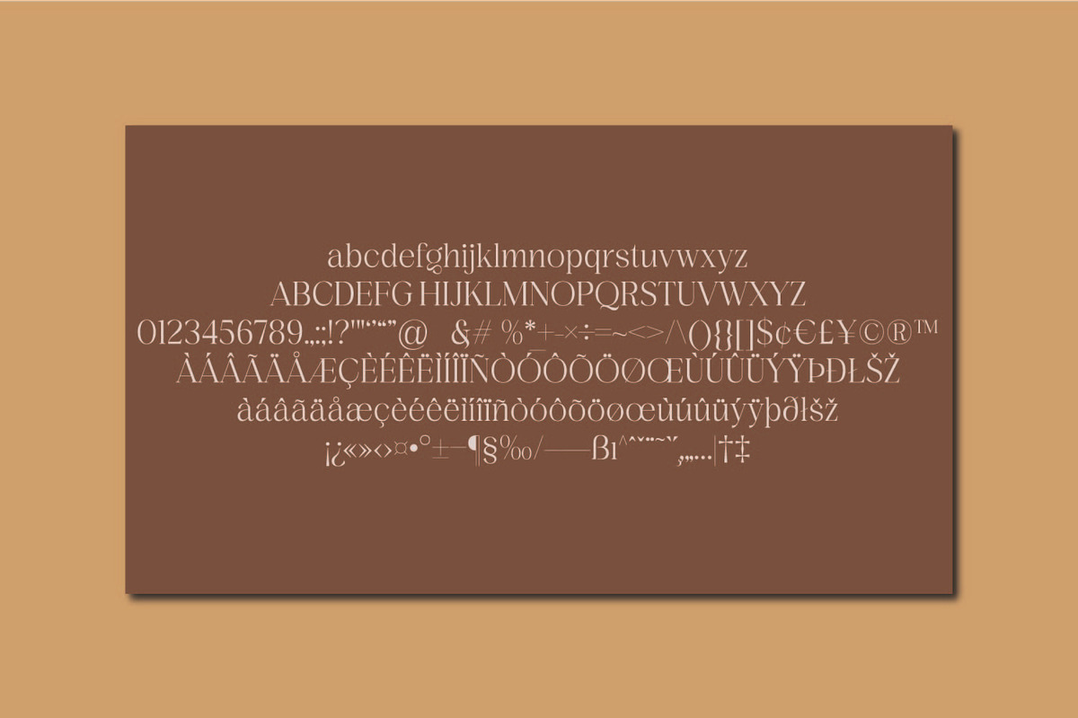 Budarli | Modern Serif Display Font, a Serif Font by MchCrafter (Photo 9 of 9)