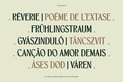 TBJ Orcherum Unique Ligatures Sans, a Font by Taboja Studio (Thumbnail 21 of 21)