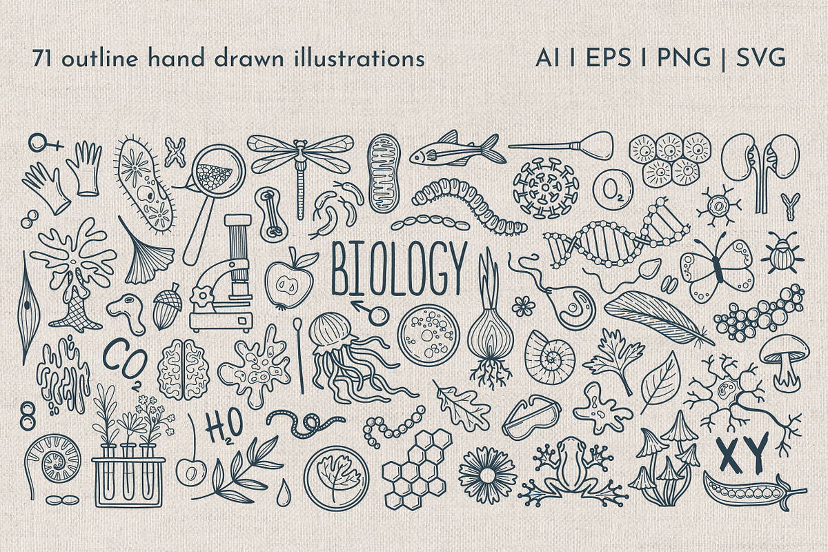 Hand Drawn Doodle Biology Clipart, an Object Graphic by KathrineWatercolor (Photo 3 of 10)