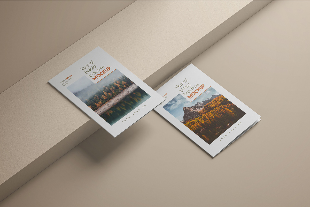 Bifold Vertical Brochure Mockup, a Print Template by mockupatelier (Photo 13 of 13)