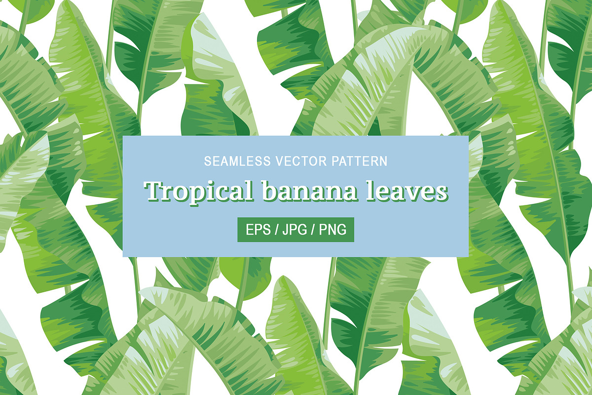 Tropical banana leaves pattern., a Pattern Graphic by Anna Smirnova (Photo 1 of 4)