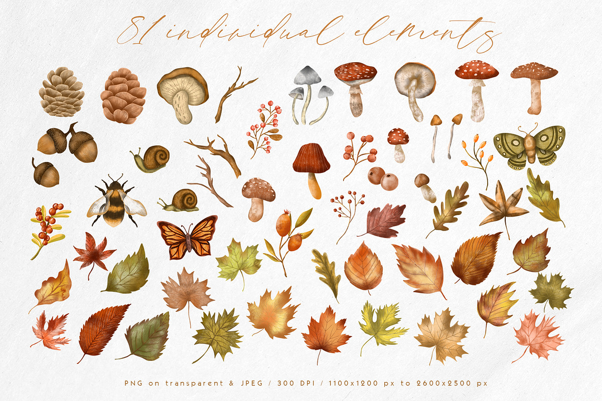 Fall sweet fall leaves illustration, a Seasonal Illustration by Yelloo Fish (Photo 3 of 15)