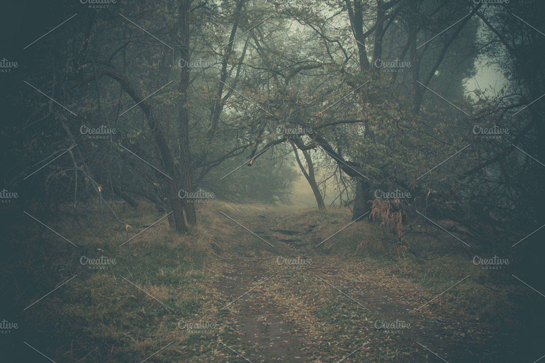 Dark dirt road