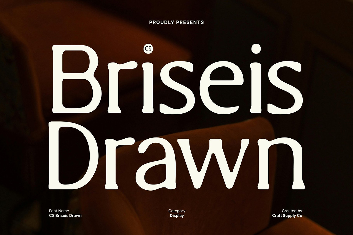 CS Briseis Drawn, a Serif Font by Craft Supply Co. (Photo 1 of 8)