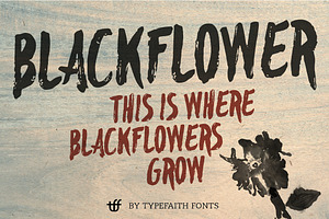 TypeFaith Creative Font Bundle