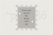 Pagano, a Serif Font by Portion.Labs (Thumbnail 8 of 10)