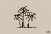 Palm Trees PNG, Summer PNG, Beach, an Illustration by SharpMarketplace (Thumbnail 1 of 4)