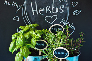 Herb garden rosemary basil thyme containing gardening, garden, and market