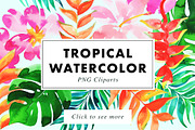 22 Tropical Watercolor Illustrations, an Illustration by Heartmade by Claudia (Thumbnail 1 of 4)