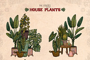 House Plants, an Object Illustration by Ink Stories (Thumbnail 15 of 23)