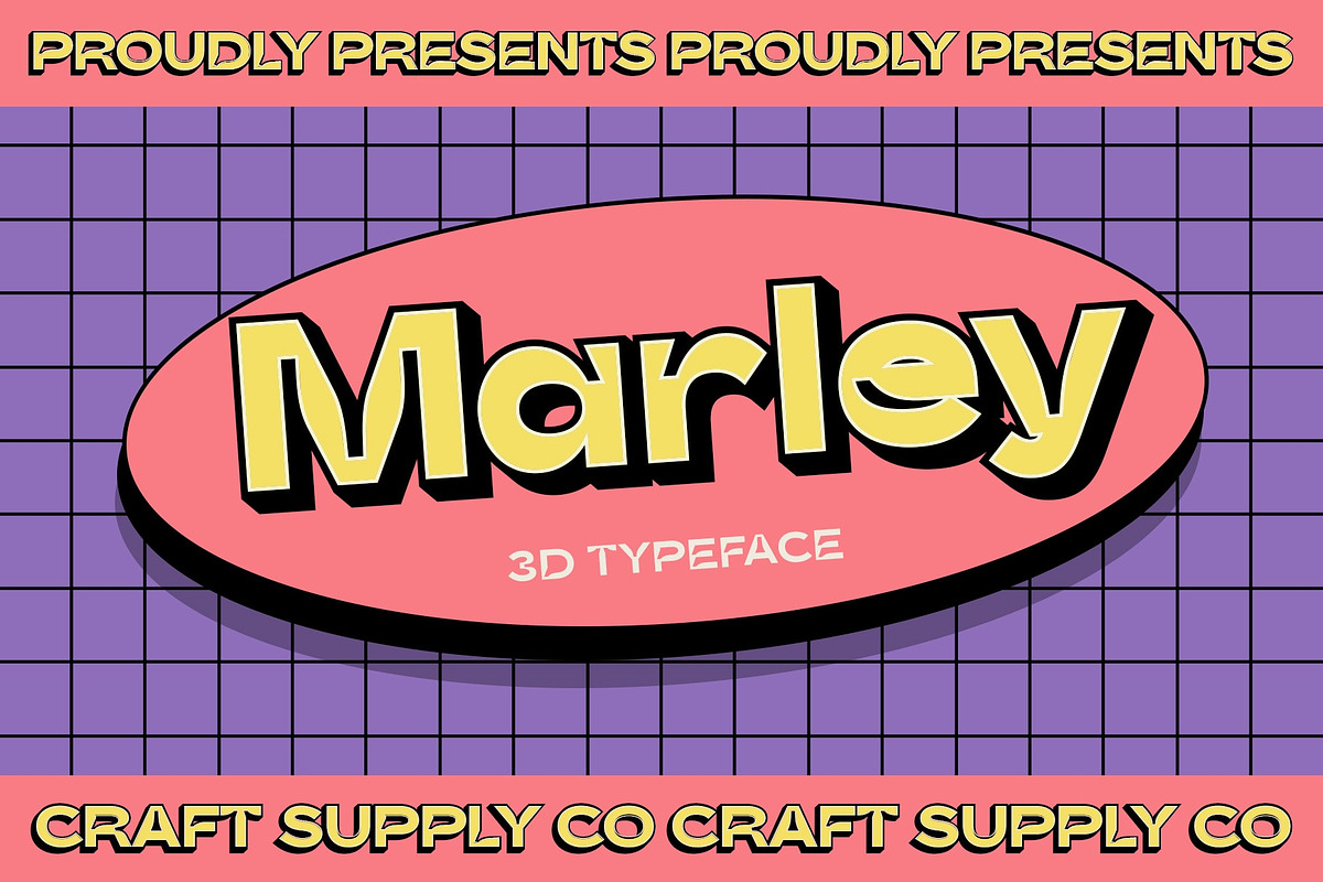 CS Marley 3D, a Sans Serif Font by Craft Supply Co. (Photo 1 of 8)