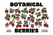 Hand Drawn BOTANICAL BERRIES, an Object Graphic by Artflorara (Thumbnail 1 of 9)