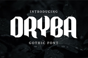Dryba Modern Gothic, a Serif Font by Gumrega Studio