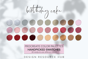 Procreate Color Palette BirthdayCake