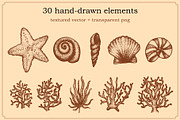 Marine Animal Hand Drawn Elements, an Animal Illustration by Artolabs (Thumbnail 5 of 6)