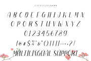 Cattalina - Beauty Font, a Script Font by Good Java Studio (Thumbnail 7 of 9)
