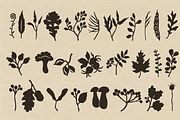 Autumn Botanicals Clipart, a Seasonal Illustration by RaDavCrafts (Thumbnail 4 of 12)
