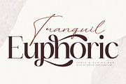 Tranquil Euphoric A Modern Font Duo, a Serif Font by Storytype Studio (Thumbnail 3 of 15)