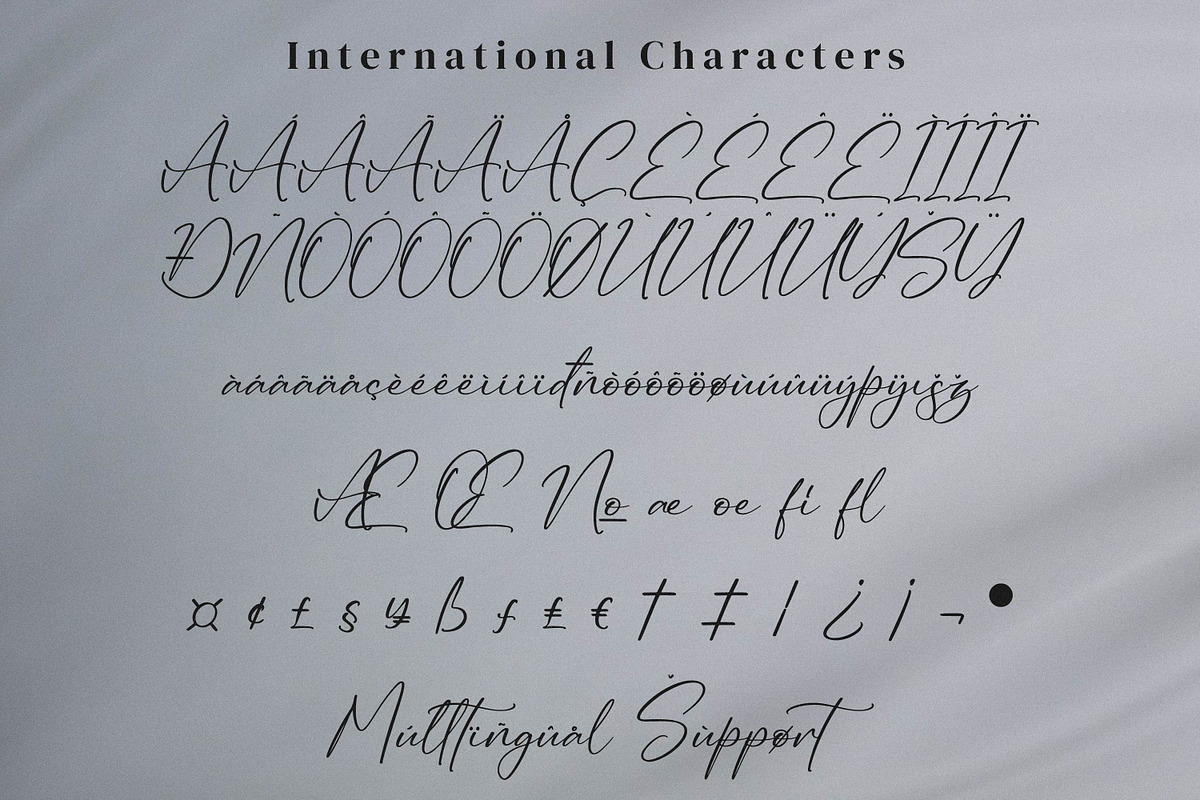 Ruliena, a Script Font by Integritype Studio (Photo 10 of 15)